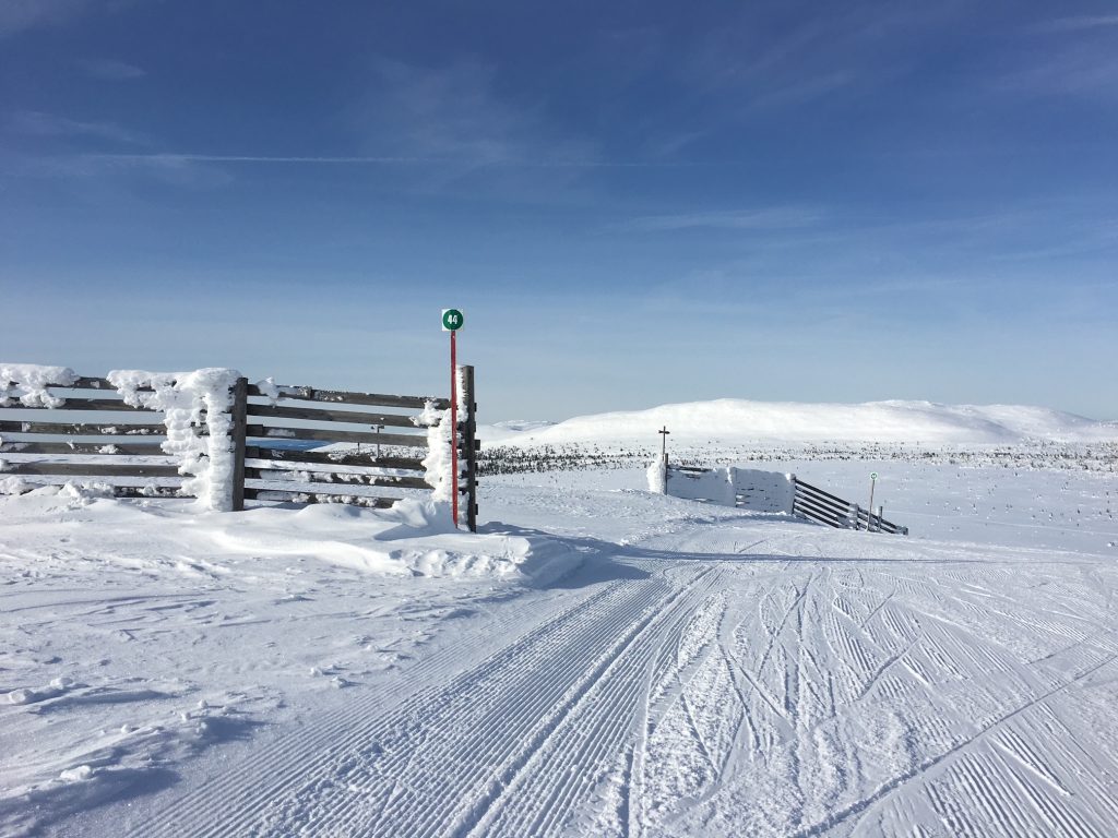 Vita vidder så långt ögat når när du hoppas av liften i Trysil.